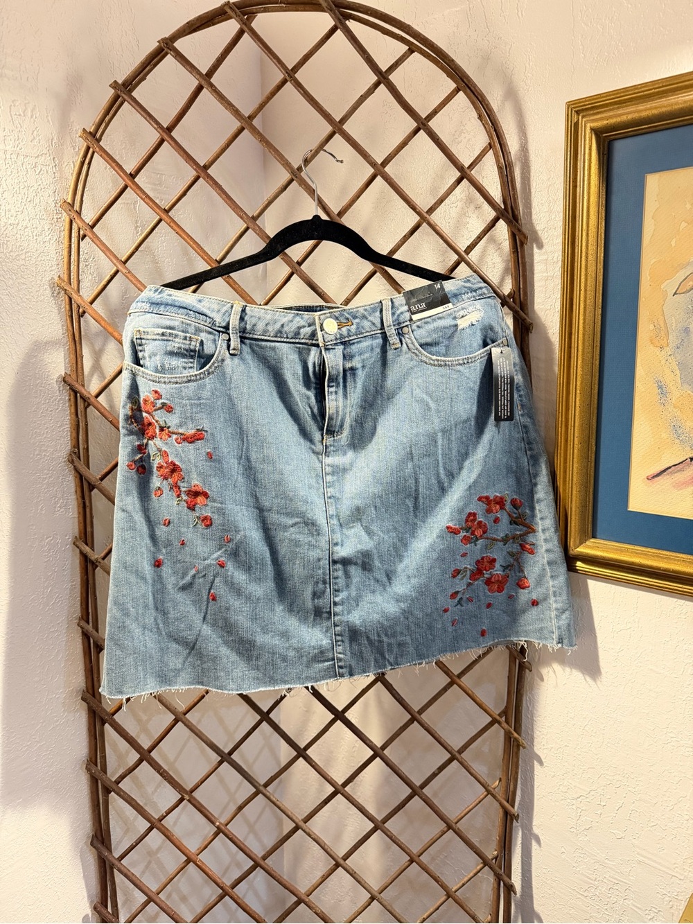 a.n.a Light Blue Denim Mini Skirt with Red Floral Embroidery